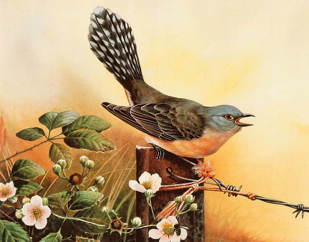 Birds Chirping 桌布 壁紙 — 一隻藍頭橙胸的鳥兒棲息在帶刺鐵絲網圍欄上的詳細插圖，周圍環繞著盛開的白色花朵和綠葉。