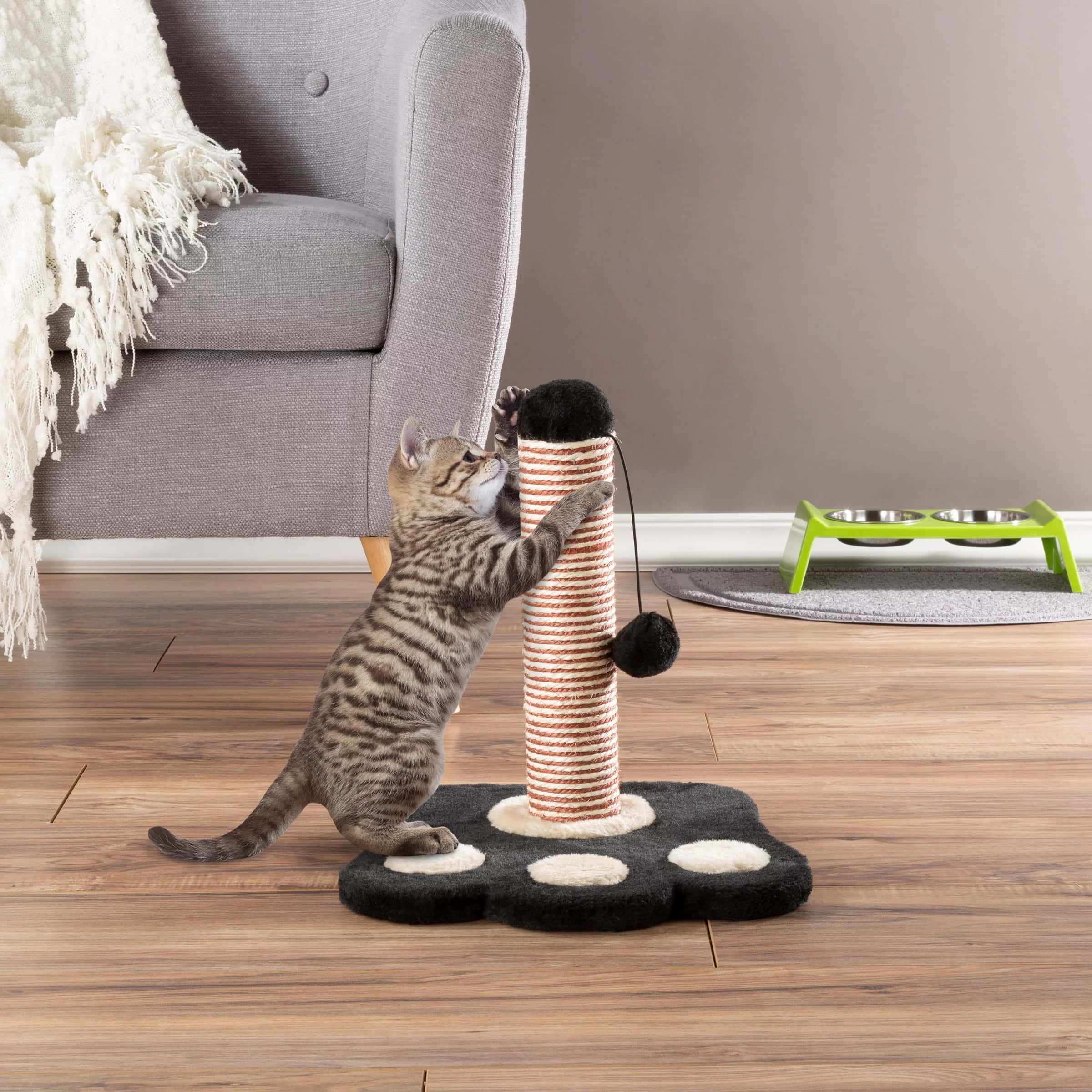 Cat Scratching Post 桌布 壁紙 — 一隻虎斑小貓在舒適的客廳裡，爬上灰色扶手椅附近一條有條紋的抓柱。