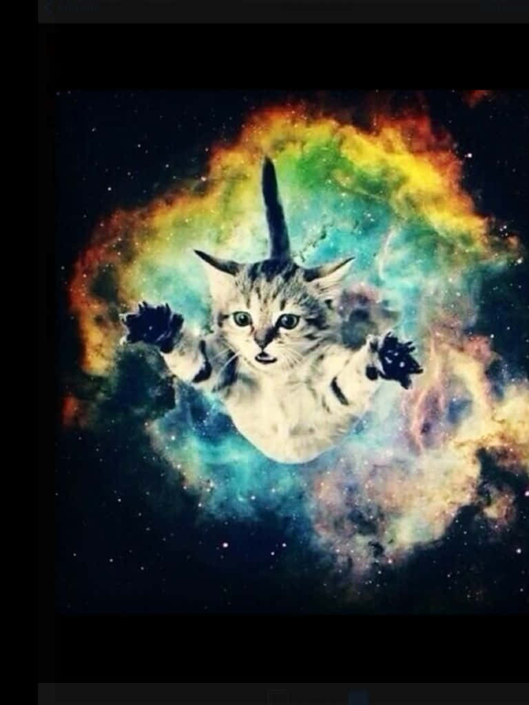 桌布 壁紙 — 一隻虎斑貓在充滿活力的宇宙星雲中寧靜漂浮，周圍有旋轉的彩虹氣體和遙遠的星星。