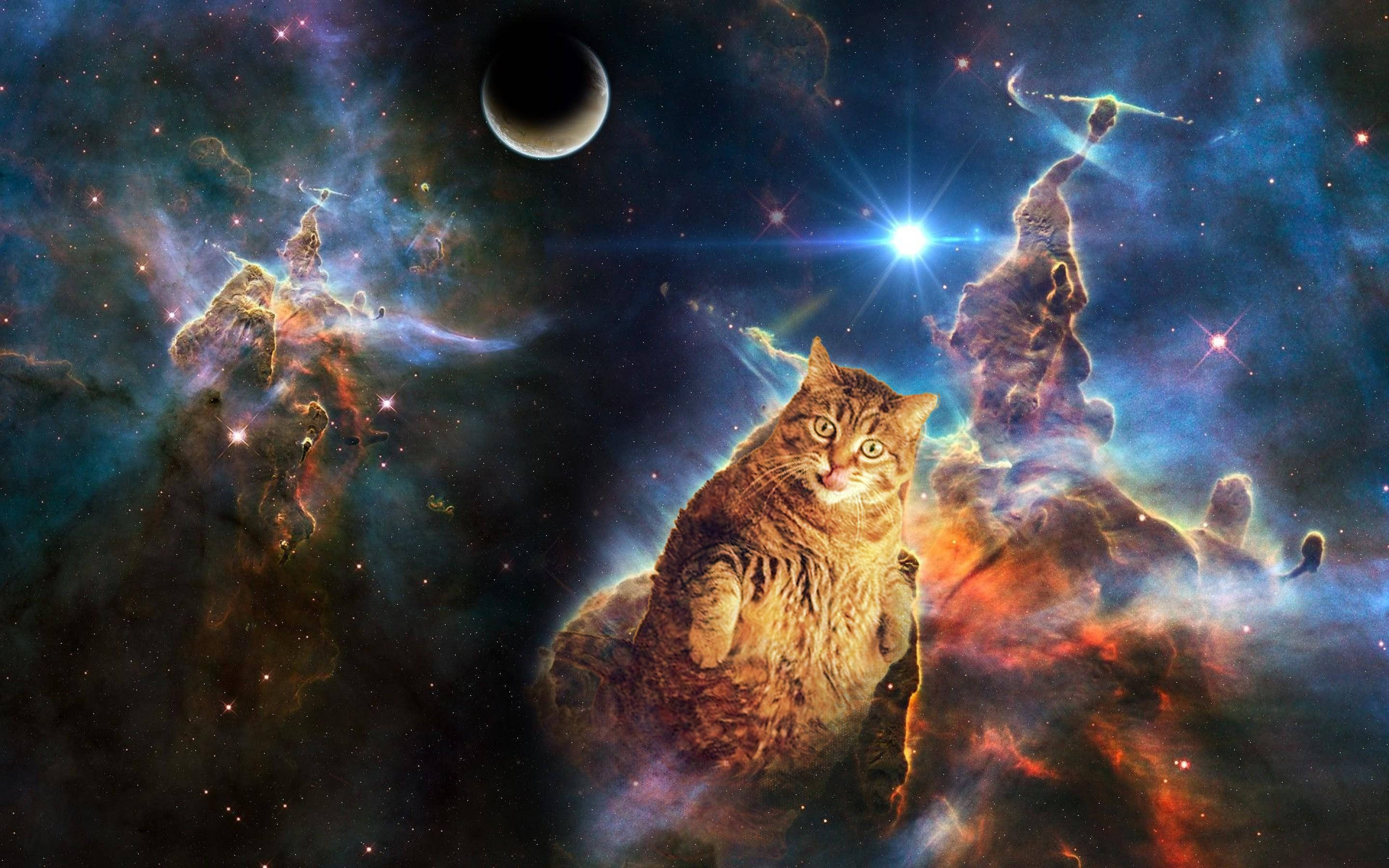 搞笑貓咪 桌布 壁紙 — 一隻虎斑貓威嚴地坐在充滿活力的宇宙星雲中，背景有閃爍的星星和一彎新月。
