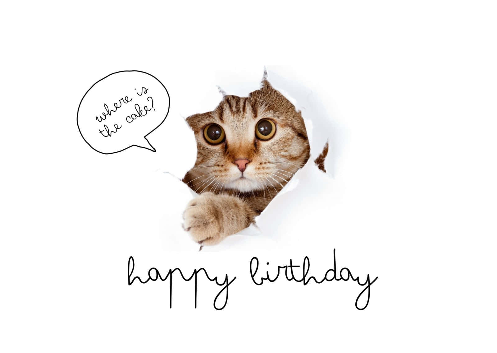Funny Happy Birthday 桌布 壁紙 — 一隻虎斑貓從破紙洞探出頭來，對話框問蛋糕在哪裡。