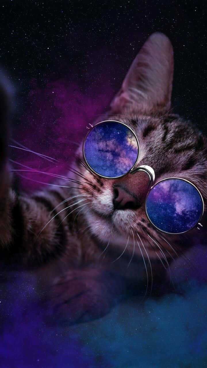 桌布 壁紙 — 一隻虎斑貓戴著圓形太陽眼鏡，在星光宇宙背景下反射出充滿活力的紫色和藍色星系。