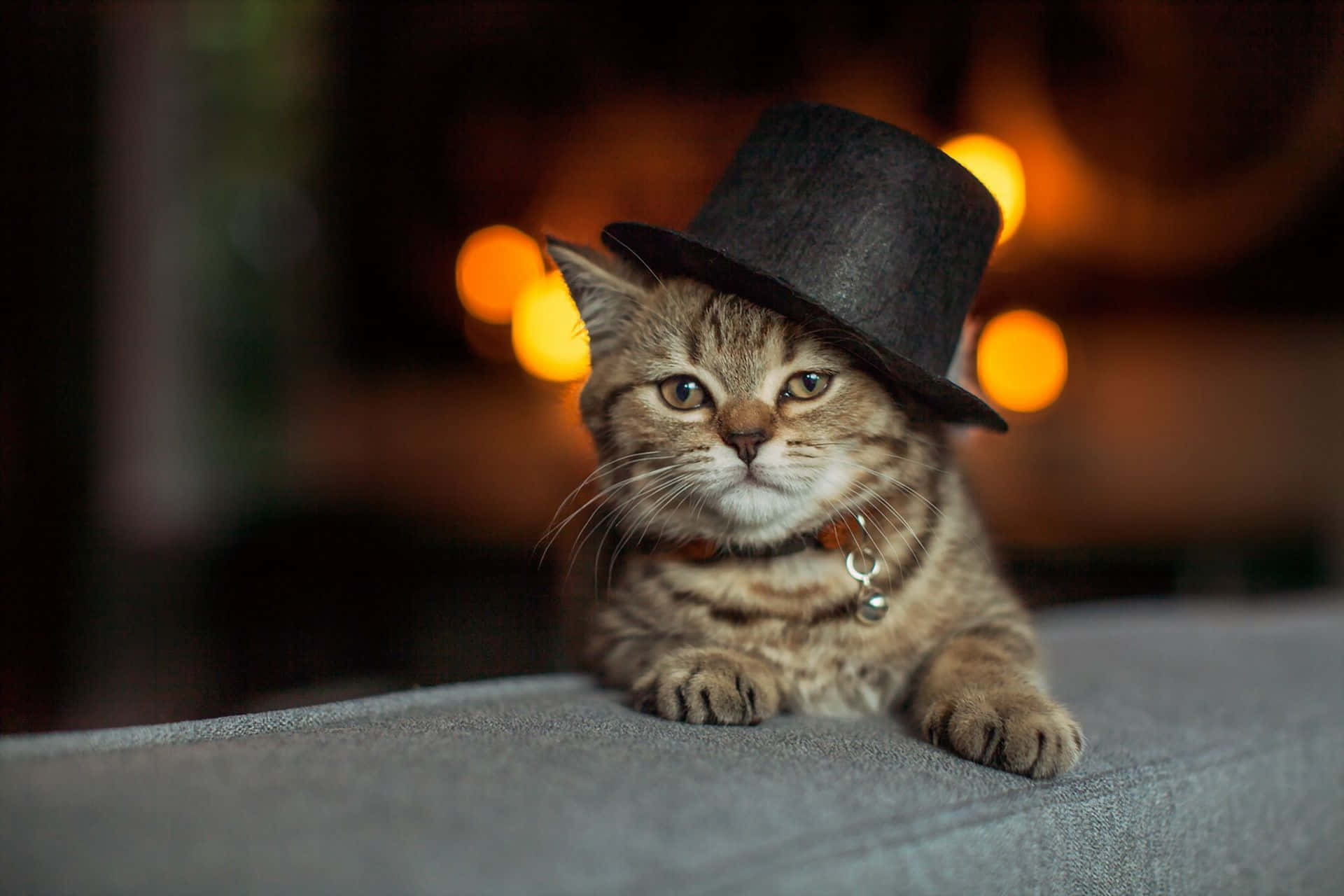 kitty cat 桌布 壁紙 — 一隻虎斑貓戴著黑色高頂帽，威嚴地坐在灰色表面上，背後有溫暖的散景燈光柔和地發光。