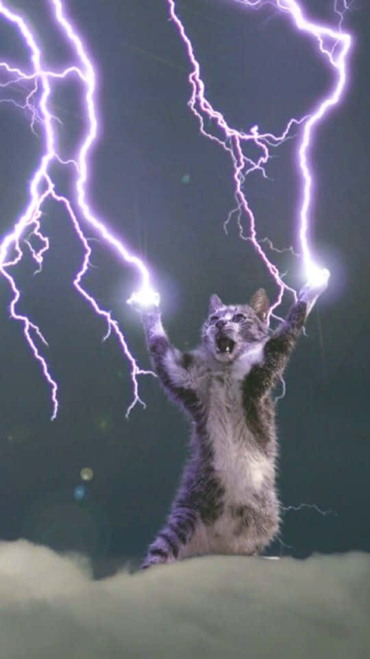 Cool Lightning 桌布 壁紙 — 一隻虎斑貓站在雲端上，舉起爪子，紫色的閃電在牠伸出的爪子周圍劈啪作響，背景是黑暗的暴風雨天空。