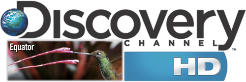 標誌 桌布 壁紙 — 一隻蜂鳥在Discovery Channel標誌旁邊從一朵粉紅色的花中吸取花蜜。