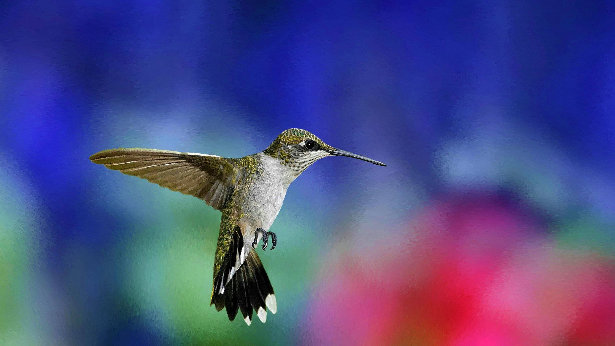 蜂鳥 桌布 壁紙 — 一隻蜂鳥在半空中盤旋，翅膀因運動而模糊，背景是充滿活力的抽象藍色、粉紅色和綠色。