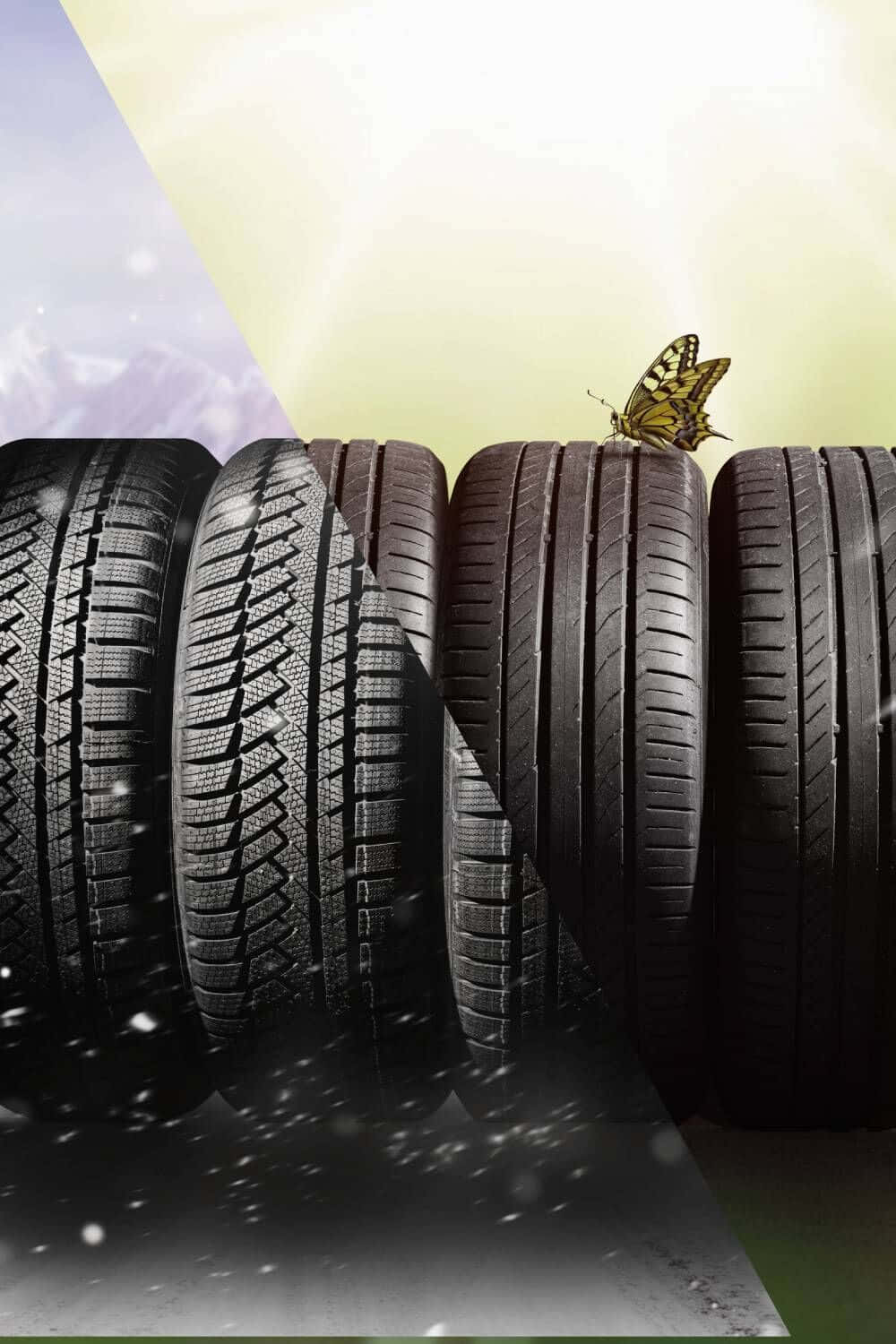 Winter Tires 桌布 壁紙 — 一隻蝴蝶棲息在一排黑色輪胎上，背景分為紫色和黃色，並有雪花飄落。