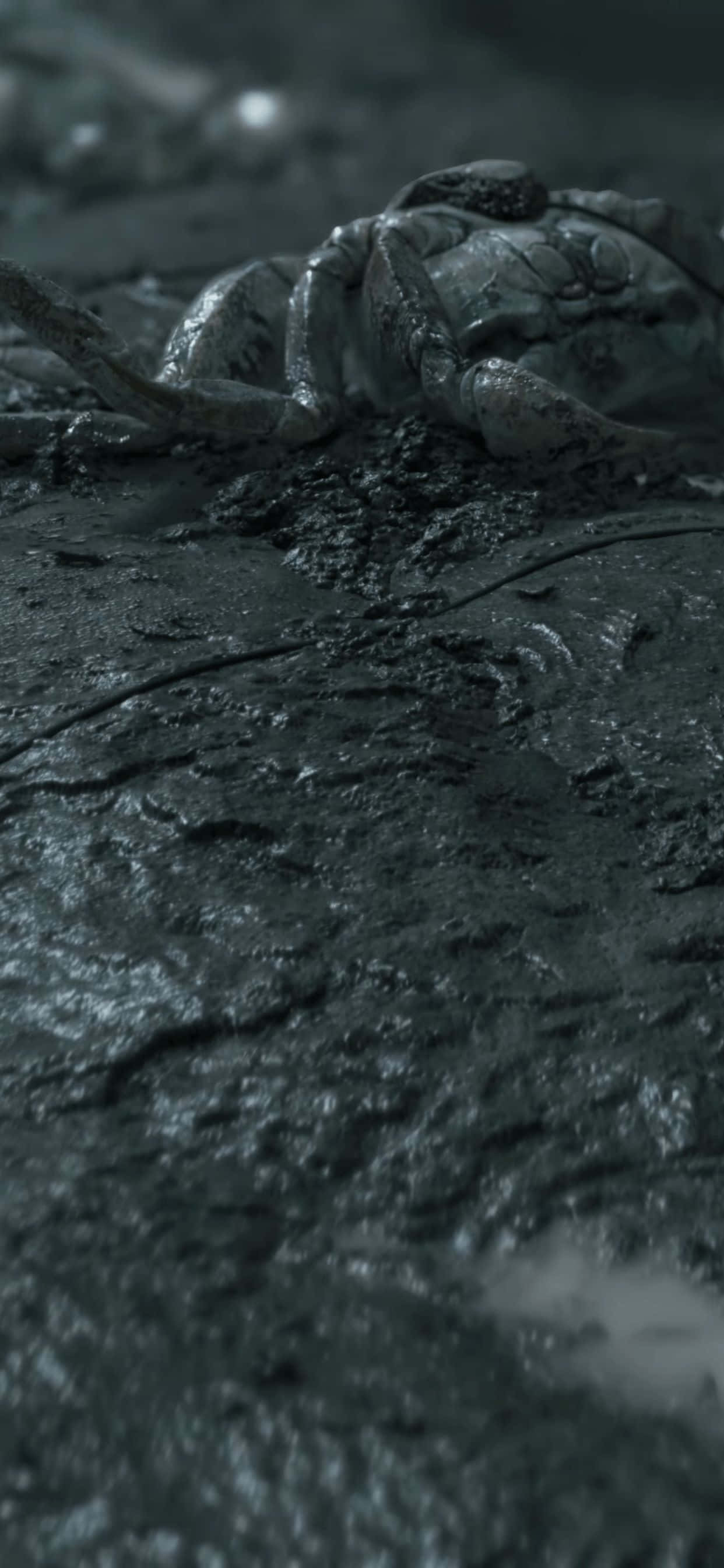 iPhone Xs Max Death Stranding 桌布 壁紙 — 一隻螃蟹埋在深色濕泥中的特寫，表面有紋理，色調柔和灰色。