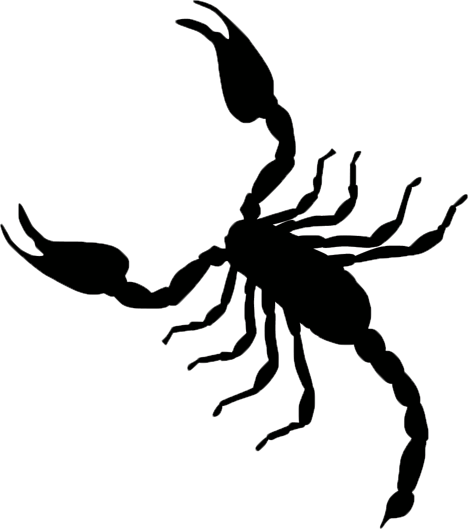 scorpion 桌布 壁紙 — 一隻蠍子舉起鉗子，在純白背景上呈現鮮明的黑色剪影。