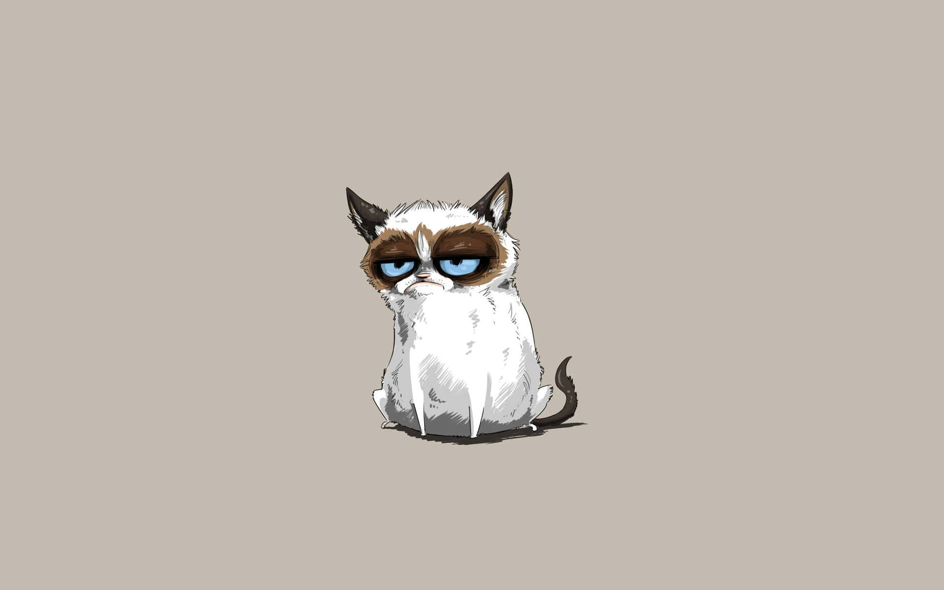 Grumpy Cat 桌布 壁紙 — 一隻表情暴躁的貓，藍眼睛，棕色斑紋，坐在純米色背景前。