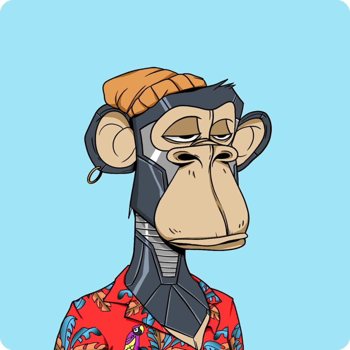 Ape 桌布 壁紙 — 一隻表情無聊的卡通猴子，穿著紅色花襯衫和橙色毛帽，背景是淺藍色。