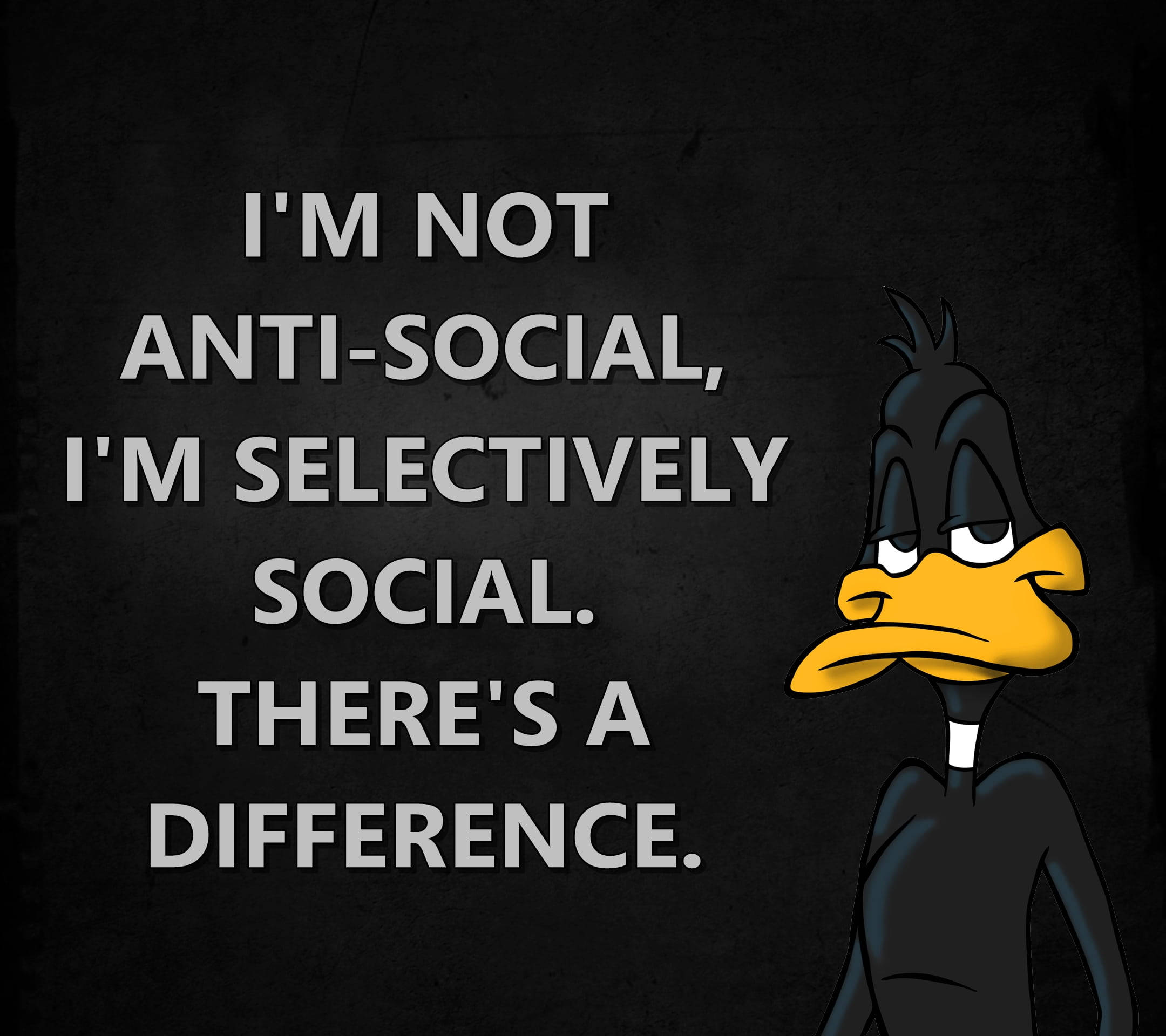 Social 桌布 壁紙 — 一隻表情疲倦的卡通鴨站在粗體文字旁邊，在深色紋理背景前宣佈選擇性社交偏好。