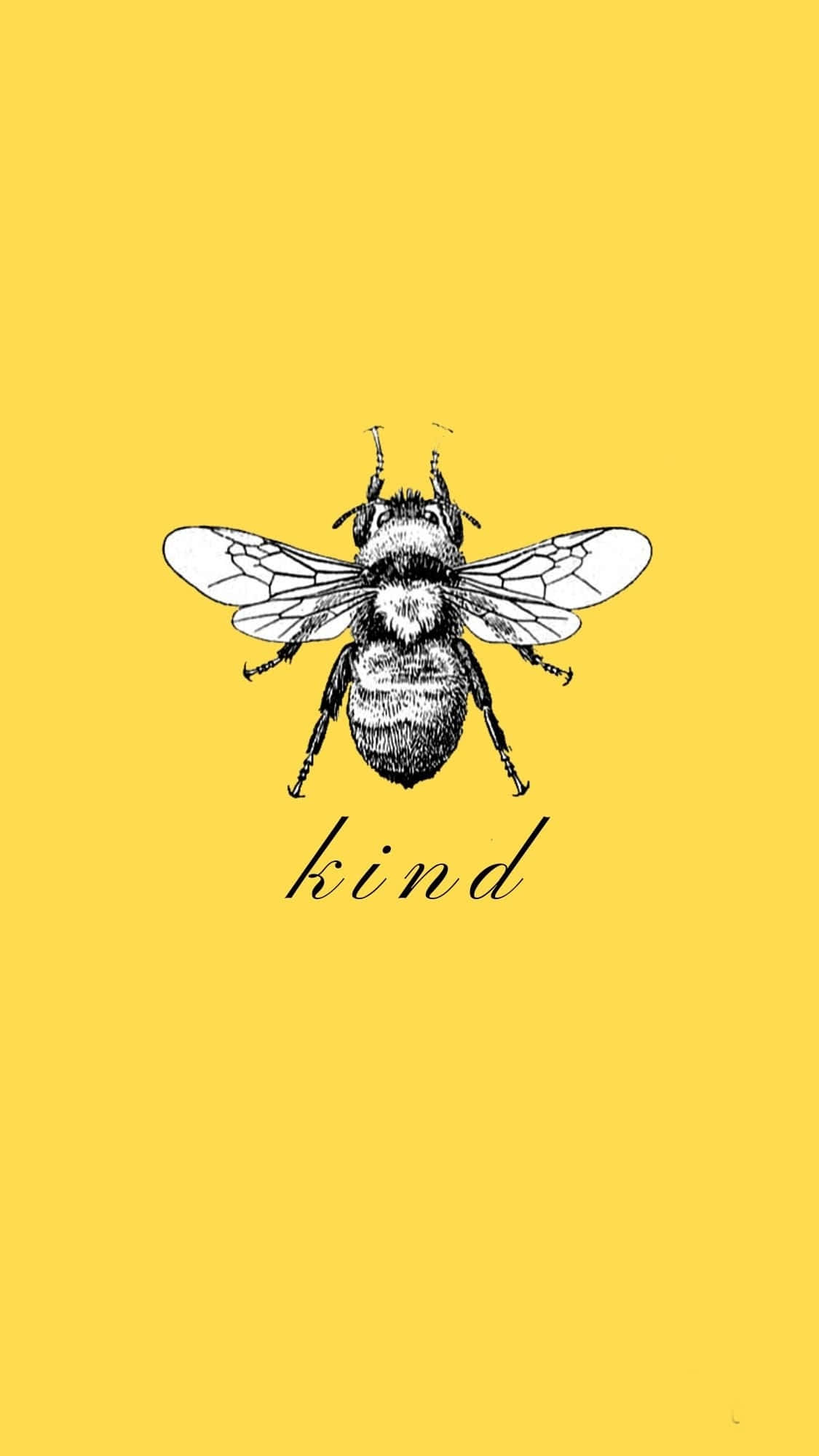 bees 桌布 壁紙 — 一隻詳細的黑白插圖大黃蜂，位於鮮豔的黃色背景中央，下方寫有「kind」一詞。