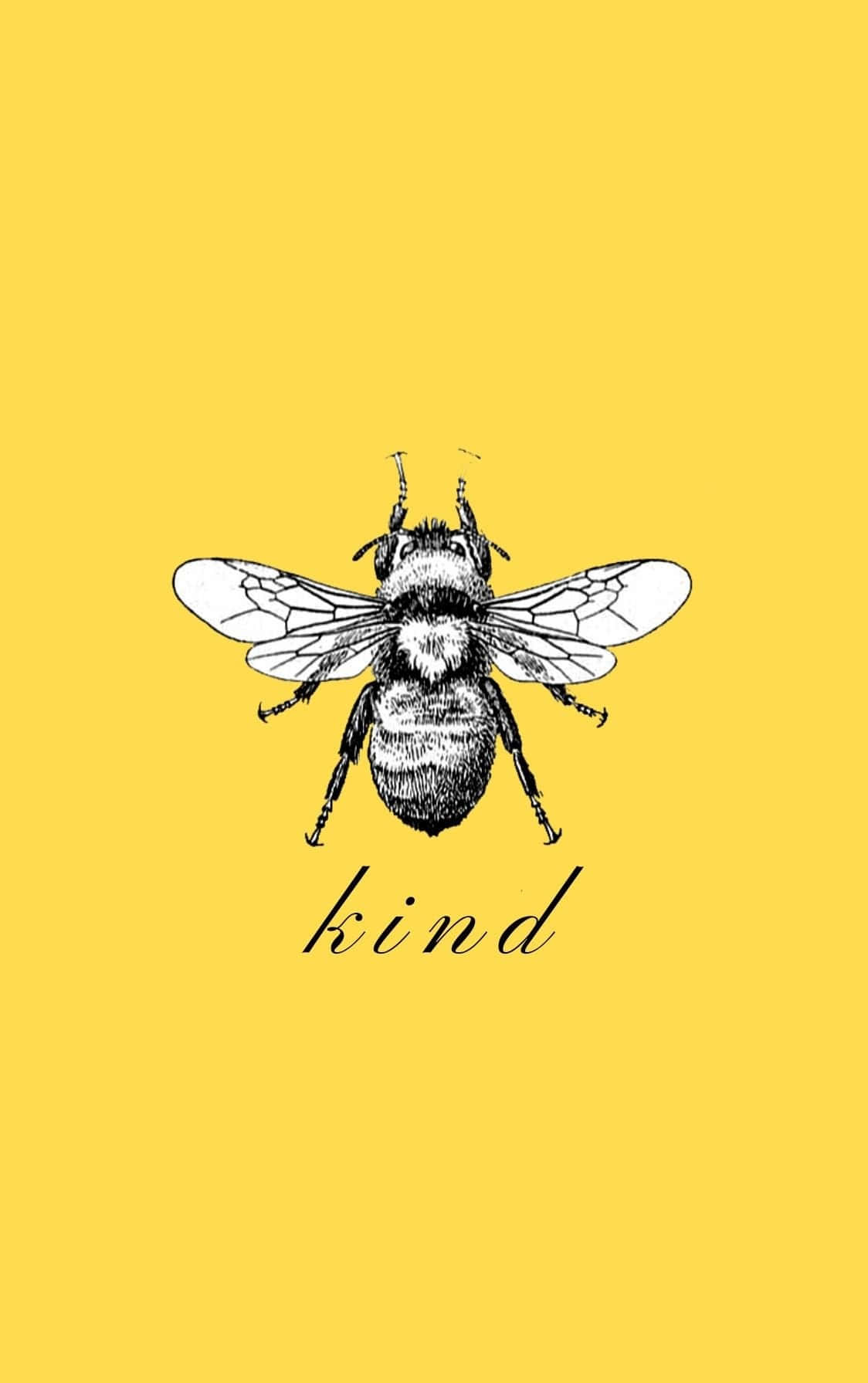 Aesthetic Bee 桌布 壁紙 — 一隻詳細的黑白插圖蜜蜂，位於鮮豔的黃色背景中央，下方寫有kind一詞。