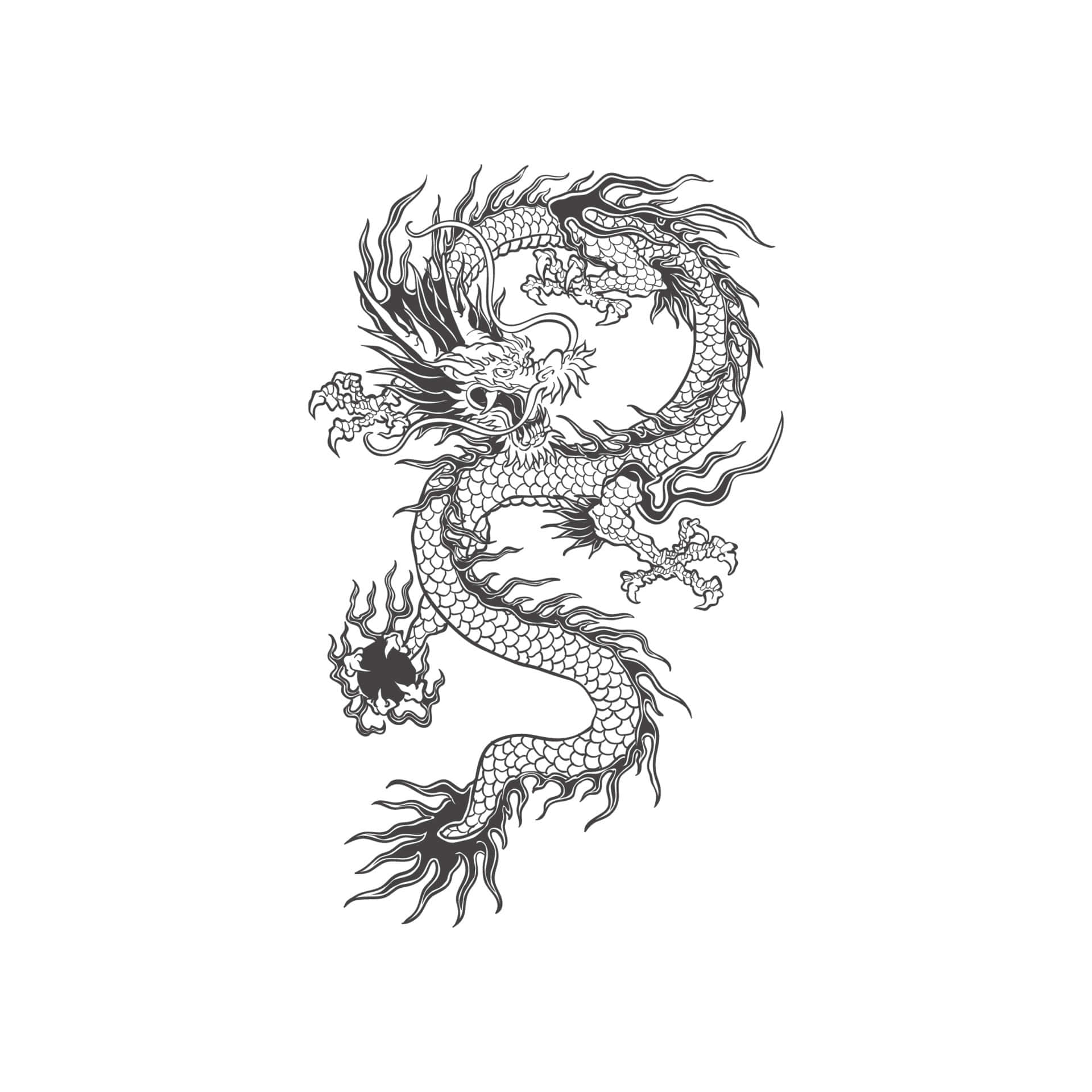 龍 桌布 壁紙 — 一隻詳細的黑白線條藝術龍，帶有鱗片和飄逸的鬃毛，在純白色背景上動態盤繞。
