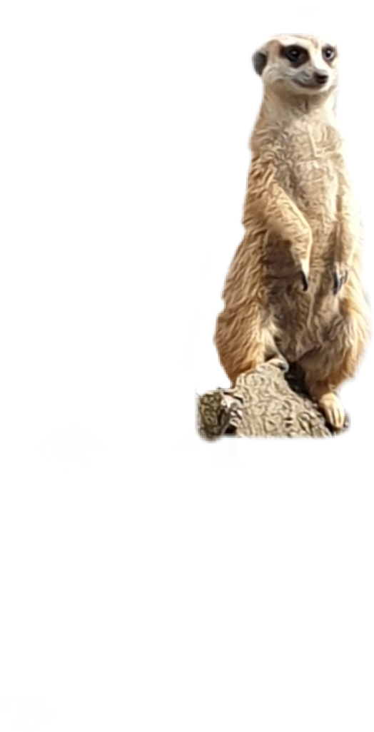 Clip Art 桌布 壁紙 — 一隻警覺的狐獴直立站在岩石上，背景是 stark 黑色，散落著碎片。
