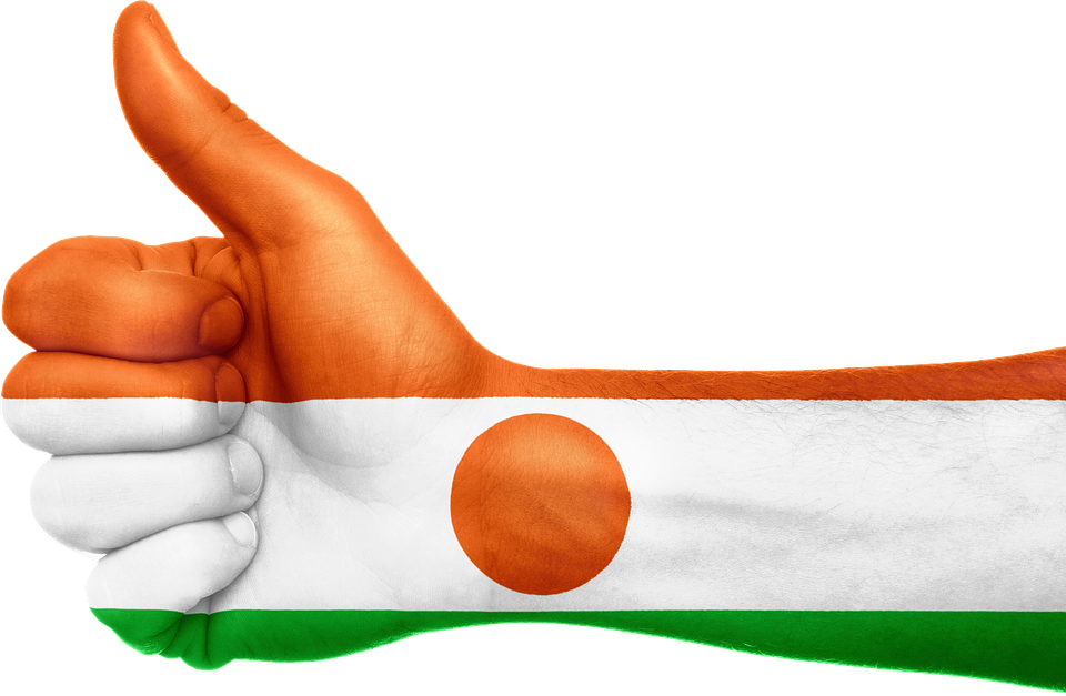 Niger 桌布 壁紙 — 一隻豎起大拇指的手，塗上尼日爾國旗的顏色和徽章，背景為白色。