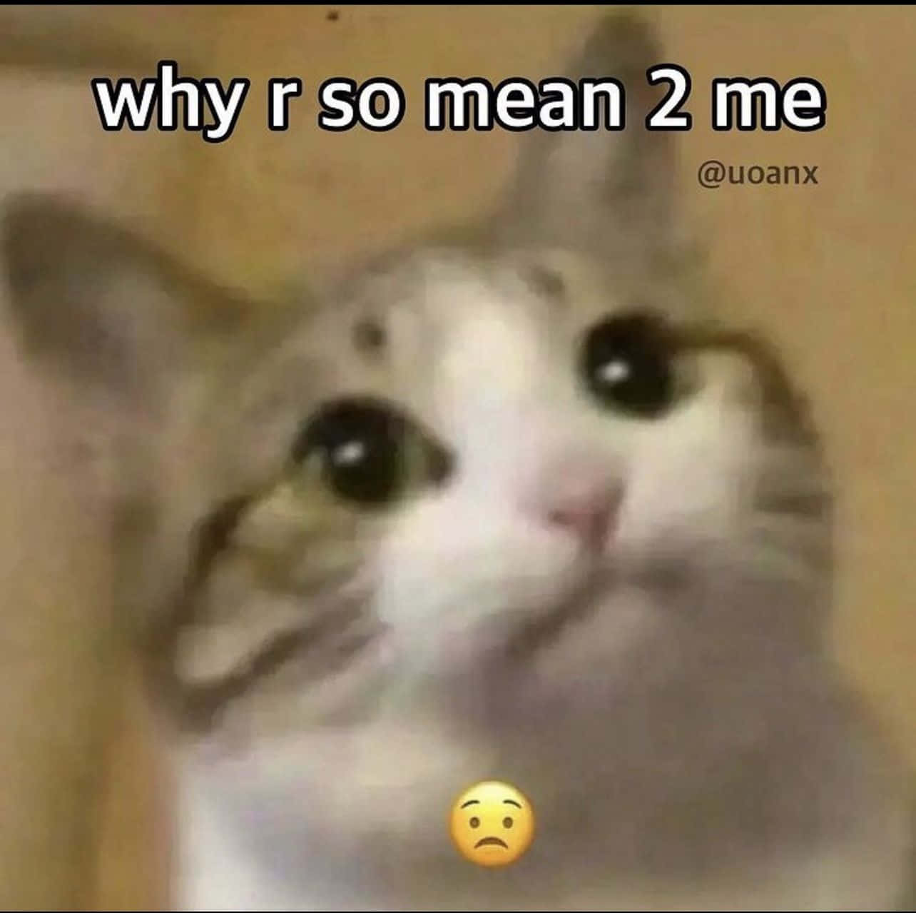 meme 桌布 壁紙 — 一隻貓咪模糊特寫，睜著無辜大眼，表情悲傷地向上看，疊加文字問為什麼有人這麼刻薄。