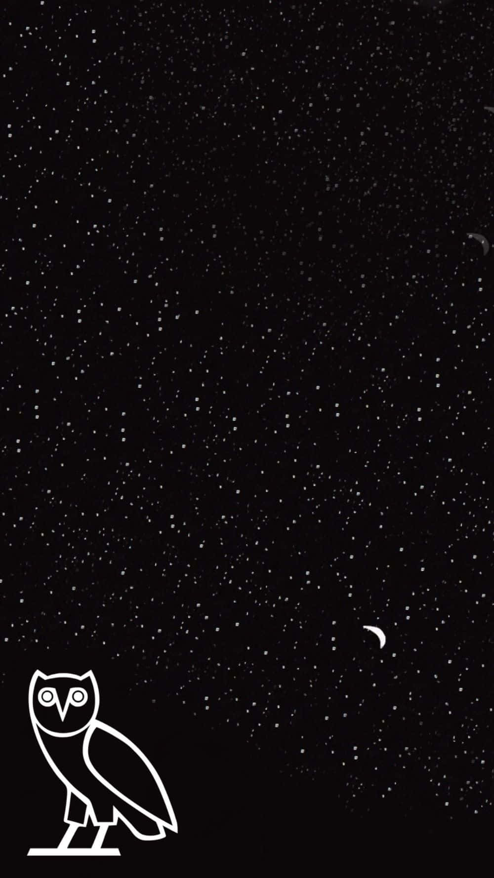 Drake Ovo Owl iPhone 桌布 壁紙 — 一隻貓頭鷹棲息在星空下帶有新月圖案的極簡白色線條畫。