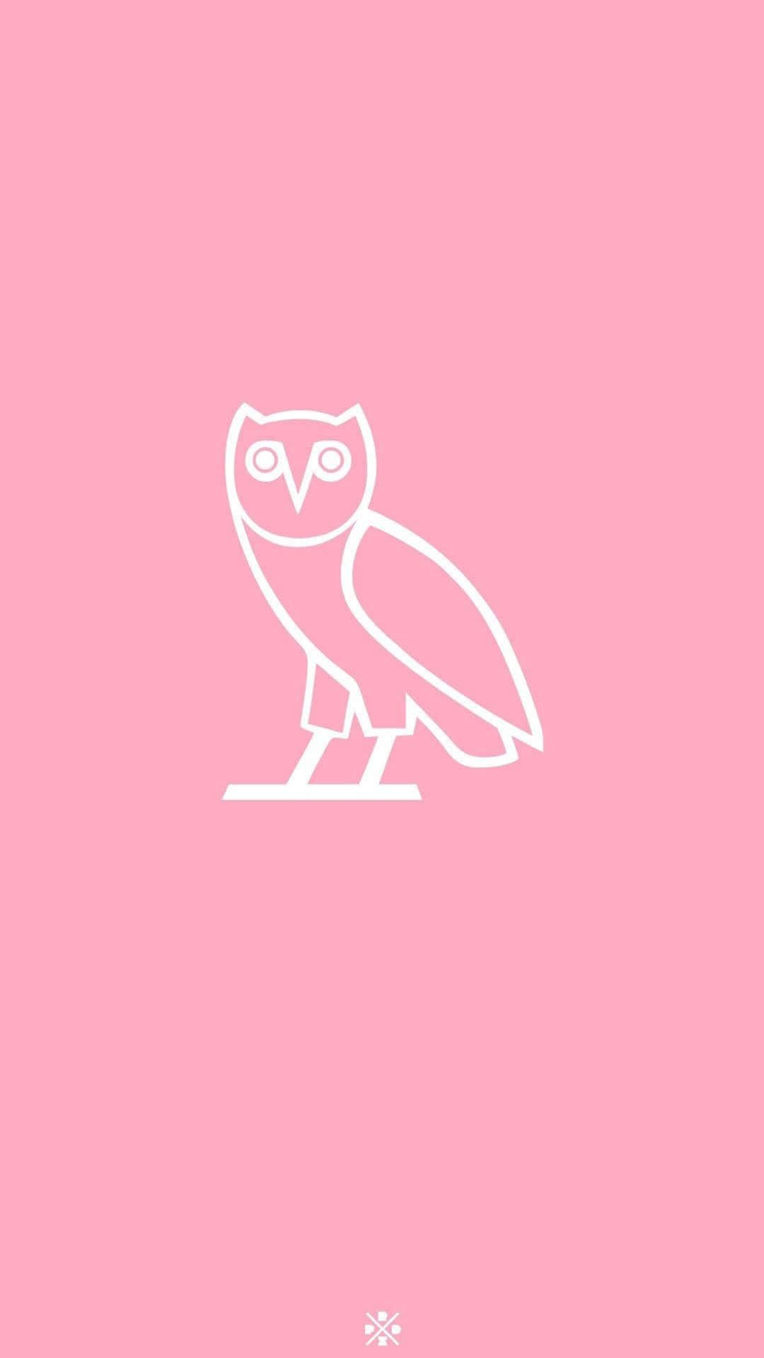 Drake Ovo Owl iPhone 桌布 壁紙 — 一隻貓頭鷹棲息在樹枝上的極簡白色線條畫，背景為純粉色。
