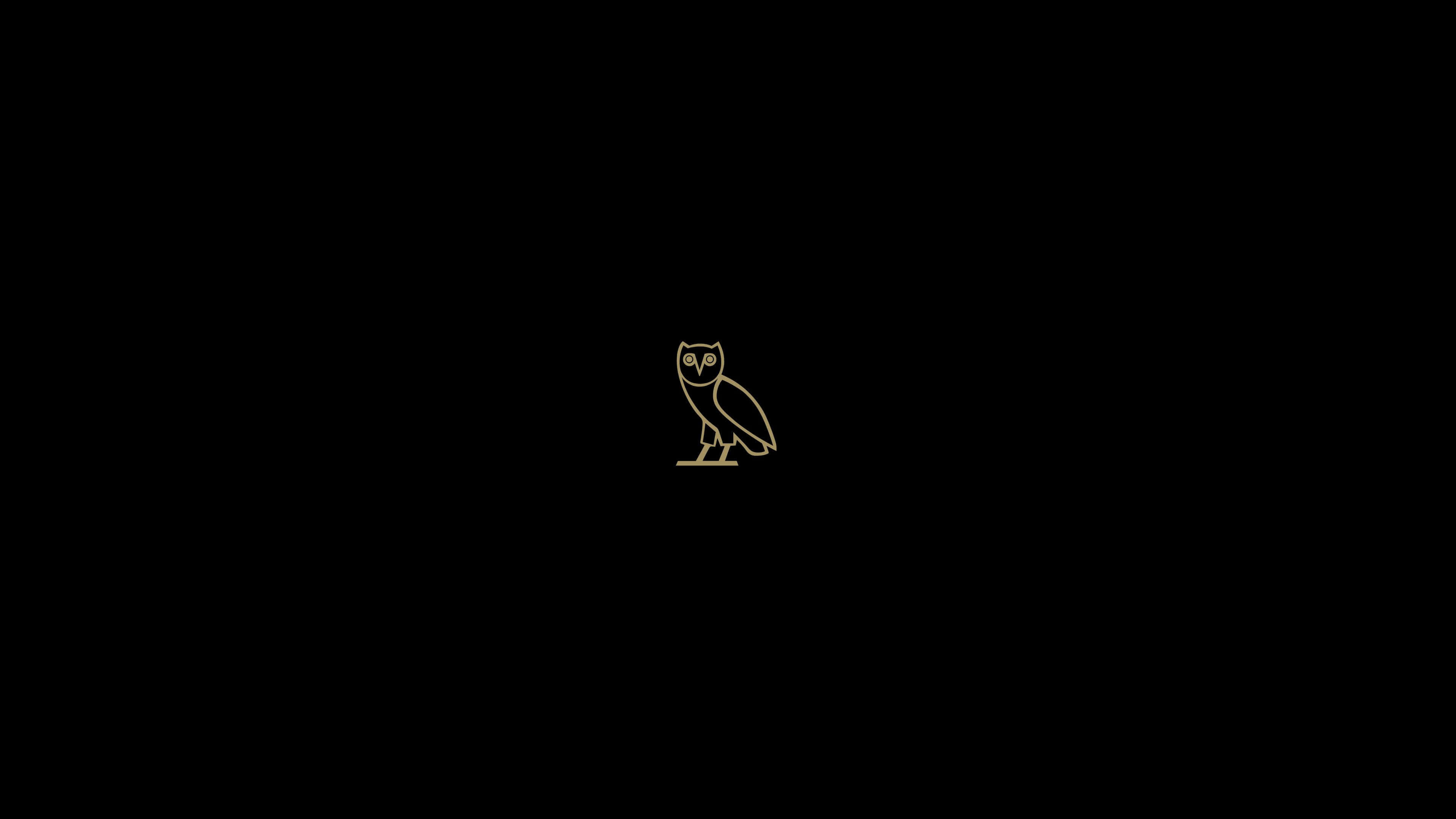 Drake Ovo Owl iPhone 桌布 壁紙 — 一隻貓頭鷹棲息在樹枝上的極簡金色線條畫，背景為純黑色。