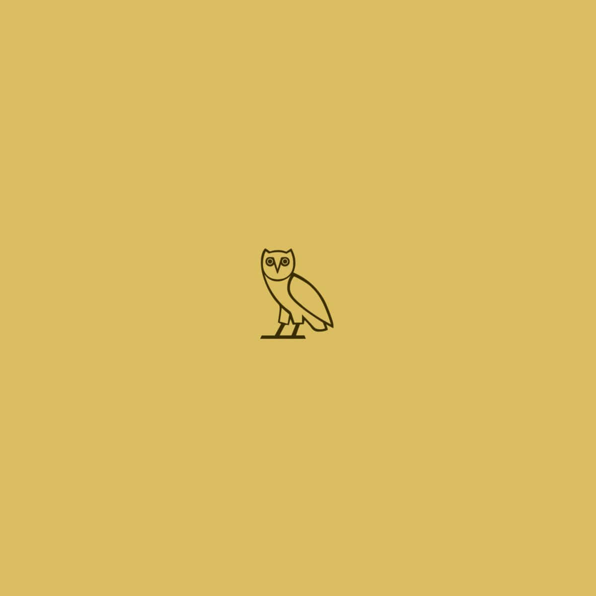 Drake Ovo Owl iPhone 桌布 壁紙 — 一隻貓頭鷹棲息在純芥末黃色背景中央的極簡黑色線條畫。
