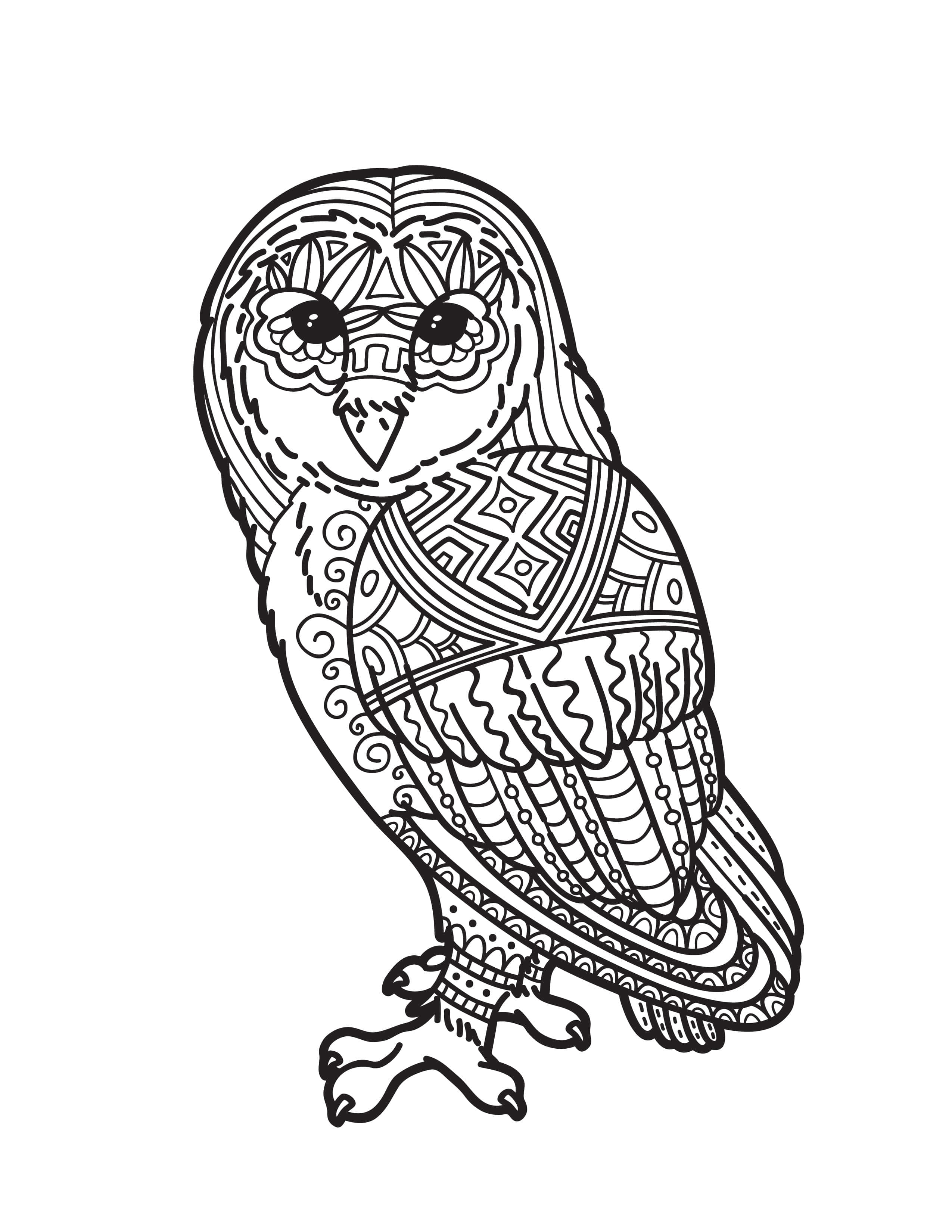 coloring 桌布 壁紙 — 一隻貓頭鷹的詳細黑白線條畫，覆蓋著複雜的幾何和漩渦圖案。