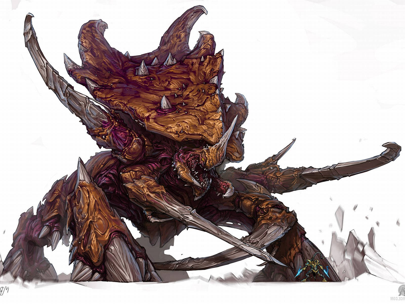 Starcraft 2 桌布 壁紙 — 一隻身穿盔甲、長有尖刺角和鋸齒狀四肢的可怕怪物，在純白背景下向前猛撲。