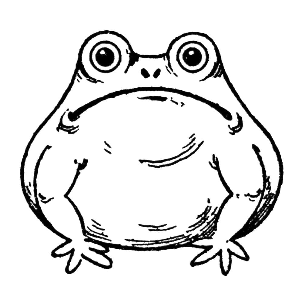 Frog Drawing 桌布 壁紙 — 一隻迷人的手繪卡通青蛙，有大圓眼睛和寬闊的笑容，面向前方坐著。