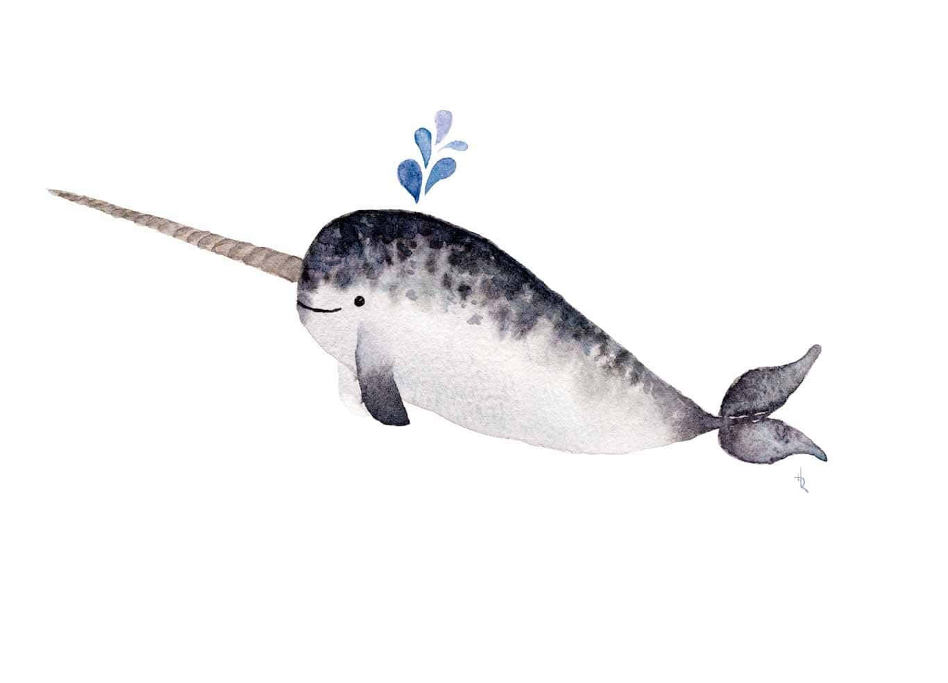 Narwhal 桌布 壁紙 — 一隻迷人的水彩獨角鯨，帶有斑點灰白色身體和長牙，頭頂有藍色水滴輕輕游動。