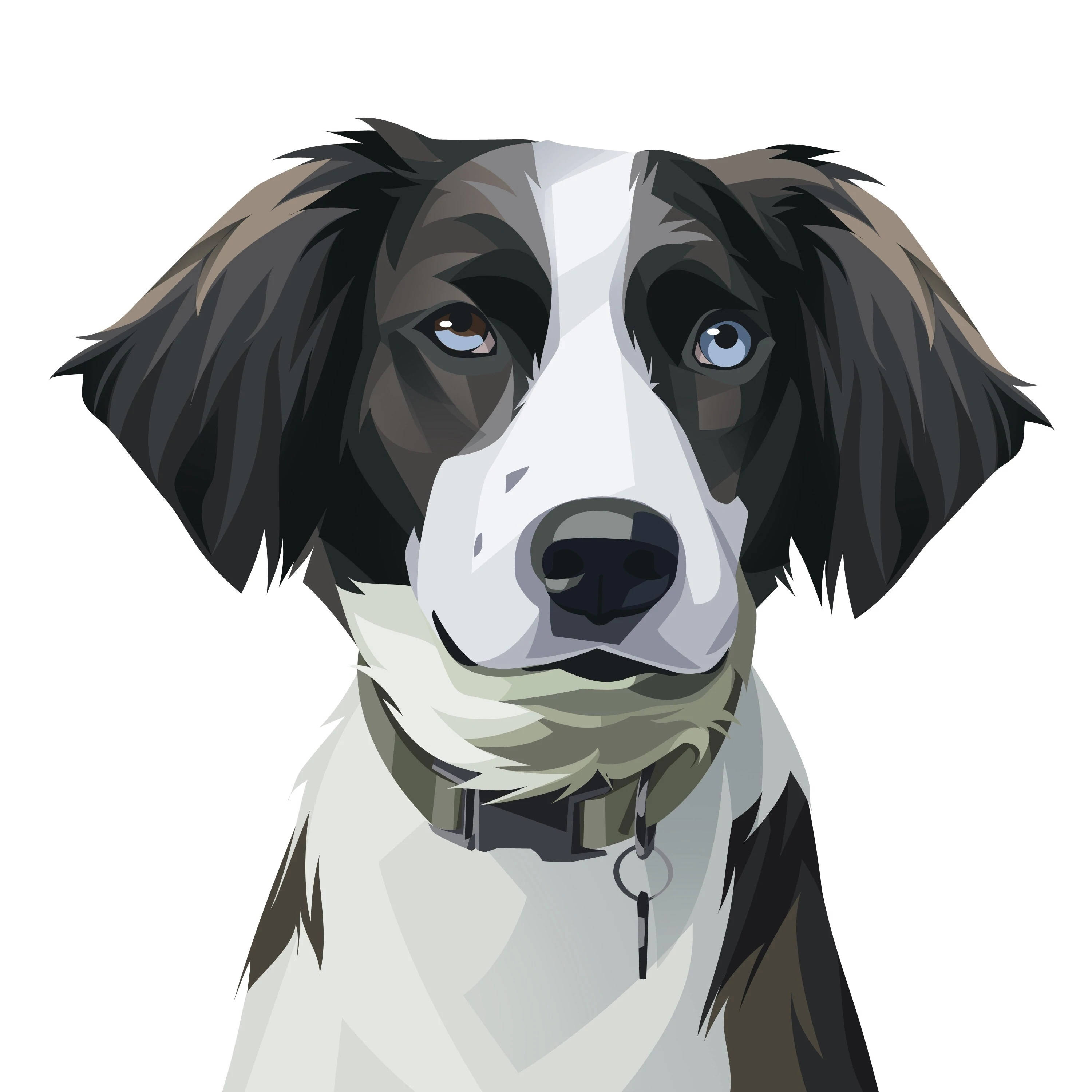 Dog Art 桌布 壁紙 — 一隻邊境牧羊犬的風格化插圖，擁有異色瞳（一褐一藍），戴著項圈。