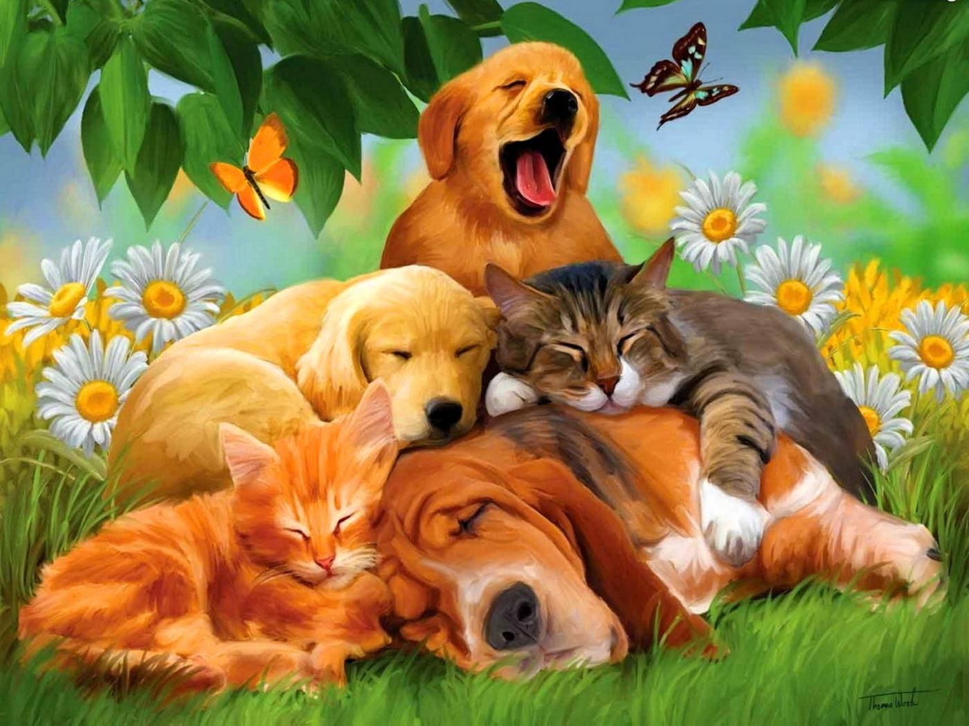 animals 桌布 壁紙 — 一隻金毛尋回犬、巴吉度獵犬、虎斑貓和橙色小貓在陽光明媚的草地上與雛菊和蝴蝶一起安然入睡。