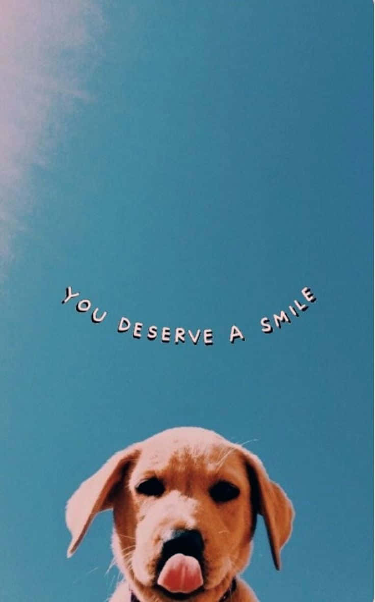 Aesthetic Dog 桌布 壁紙 — 一隻金色小狗在清澈的藍天下伸出舌頭，上方漂浮著振奮人心的文字「你值得一個微笑」。