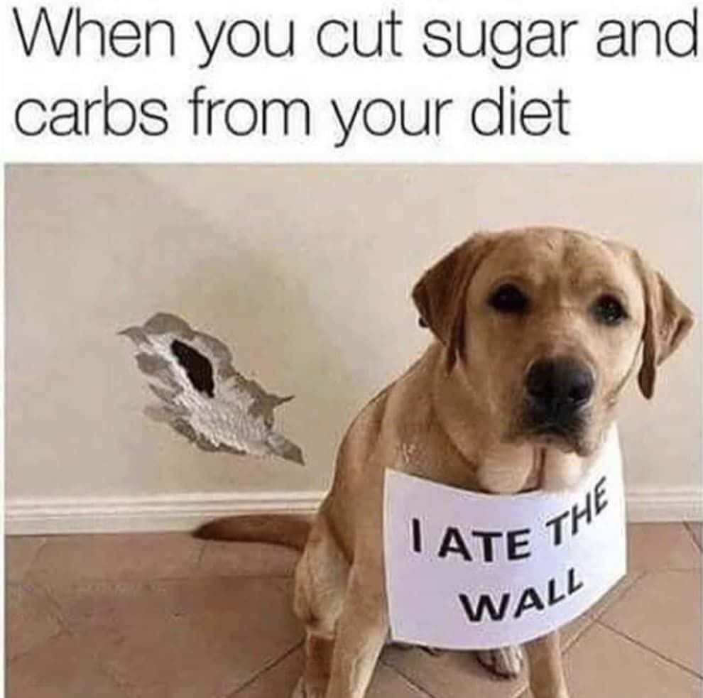 Pet Memes 桌布 壁紙 — 一隻金色拉布拉多犬內疚地坐著，戴著寫有「我吃了牆」的牌子，旁邊是米色牆上被咬穿的洞。