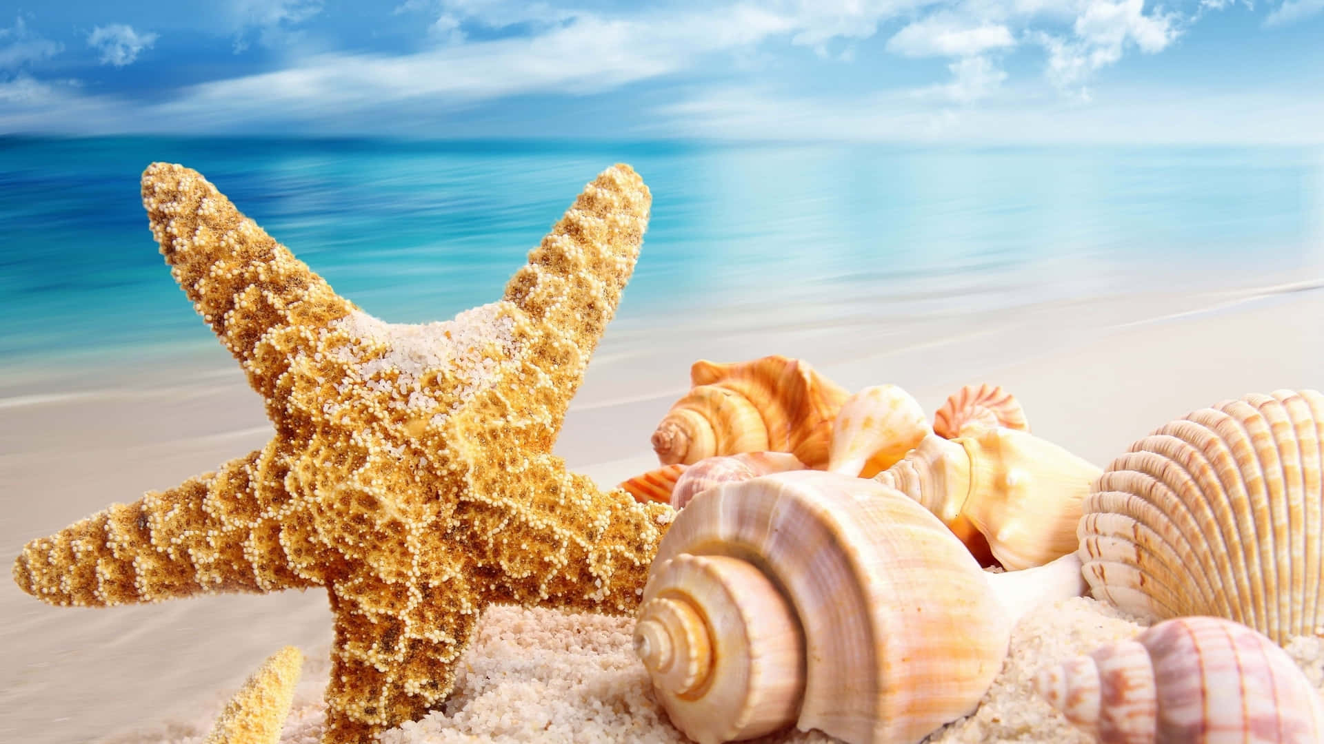 Summer Beach 桌布 壁紙 — 一隻金色海星和各種貝殼躺在陽光普照的沙灘上，旁邊是碧綠的海水，頭頂是明亮的藍天。
