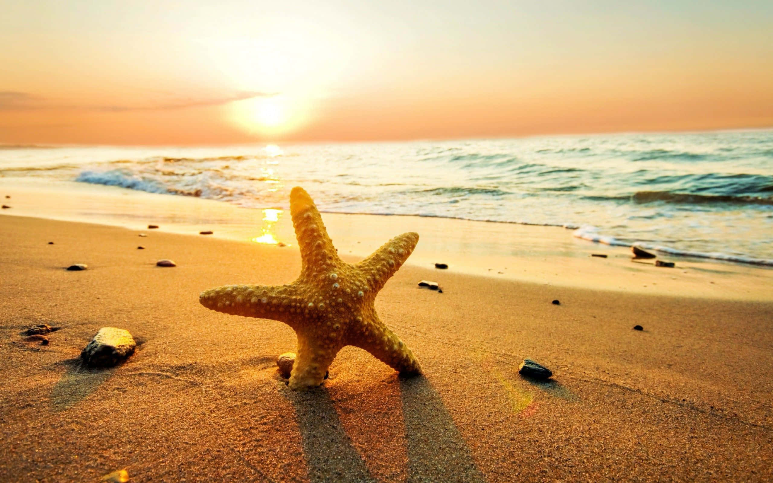 Yellow Beach 桌布 壁紙 — 一隻金色海星躺在溫暖的沙灘上，溫柔的海浪在燦爛的夕陽天空下緩緩湧來。