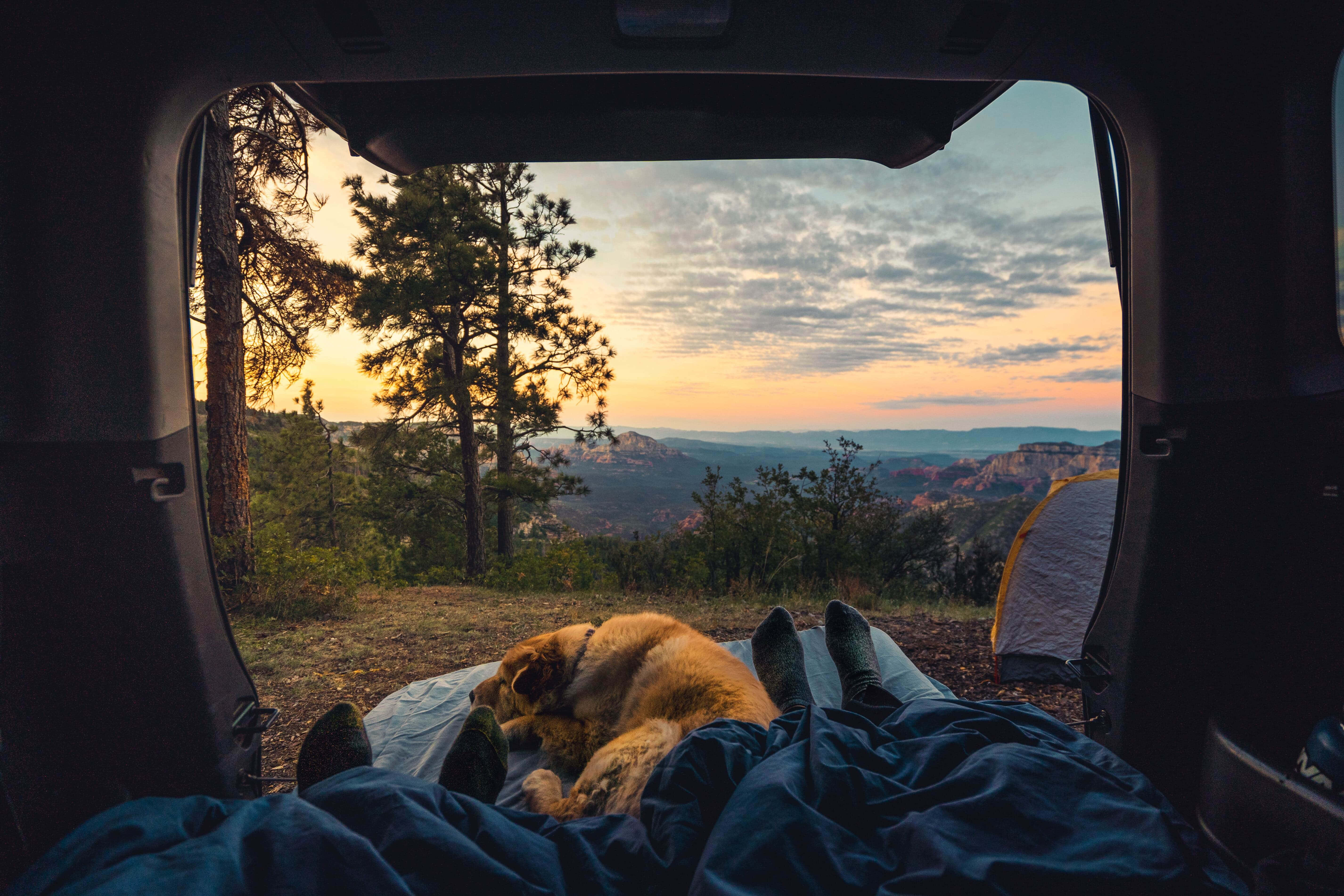 Camping 桌布 壁紙 — 一隻金色狗在貨車打開的後部，在人類腳邊平靜地睡覺，俯瞰日落時分的峽谷。