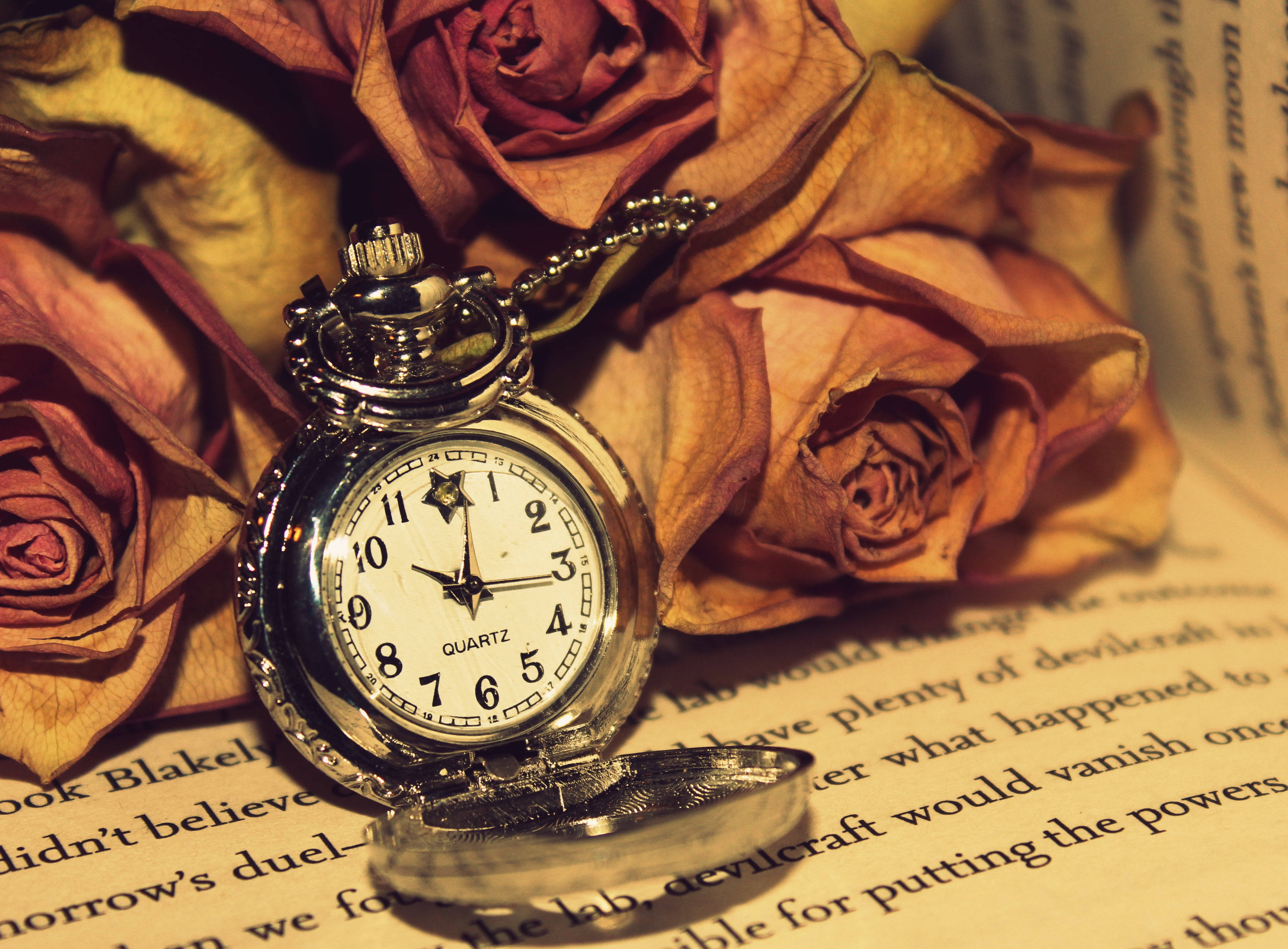 Clock 桌布 壁紙 — 一隻銀色懷錶擱在打開的書頁上，旁邊有乾燥玫瑰，沐浴在溫暖的金色光線中。