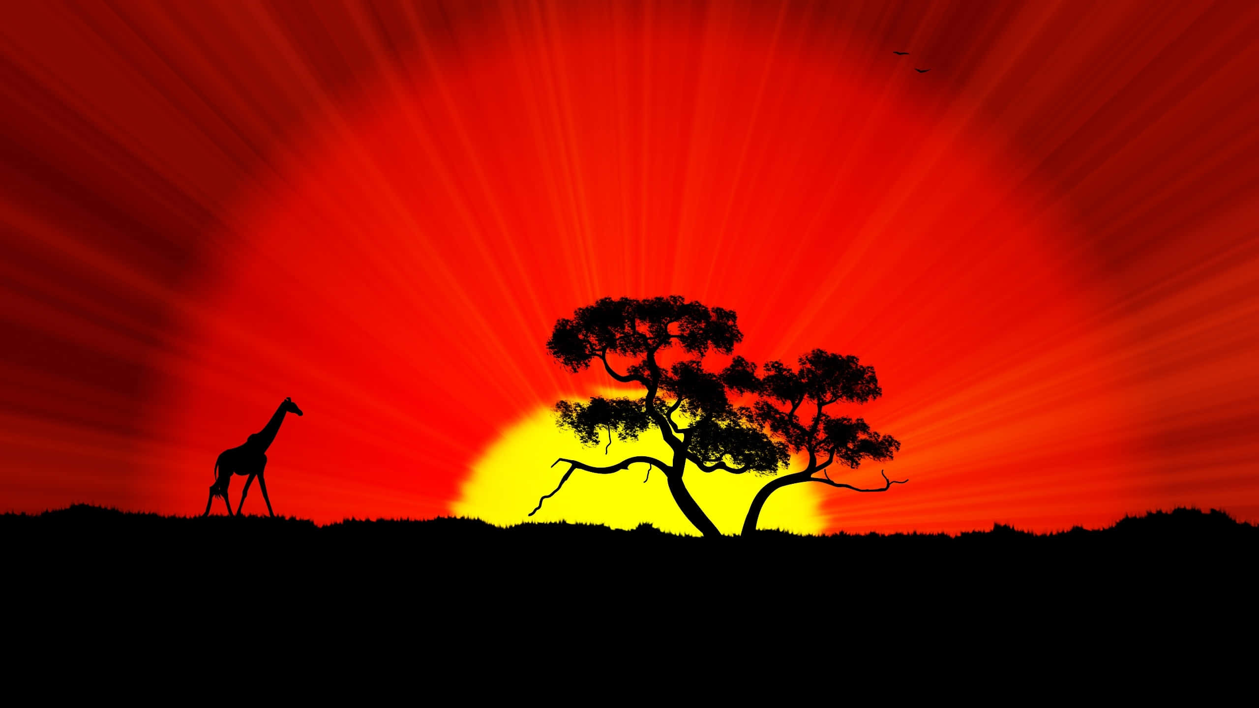 Africa HD 桌布 壁紙 — 一隻長頸鹿走過一棵孤獨的金合歡樹，一輪火紅的太陽在它們身後爆發，將耀眼的光芒灑向稀樹草原。
