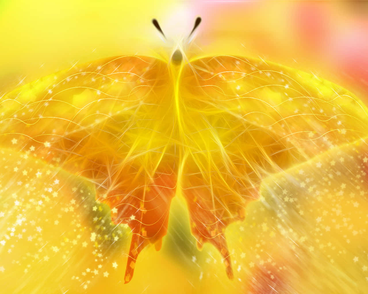 Butterfly Yellow 桌布 壁紙 — 一隻閃耀的金色蝴蝶，帶有發光的翅膀和星狀閃光，漂浮在溫暖的黃色和橙色模糊背景上。