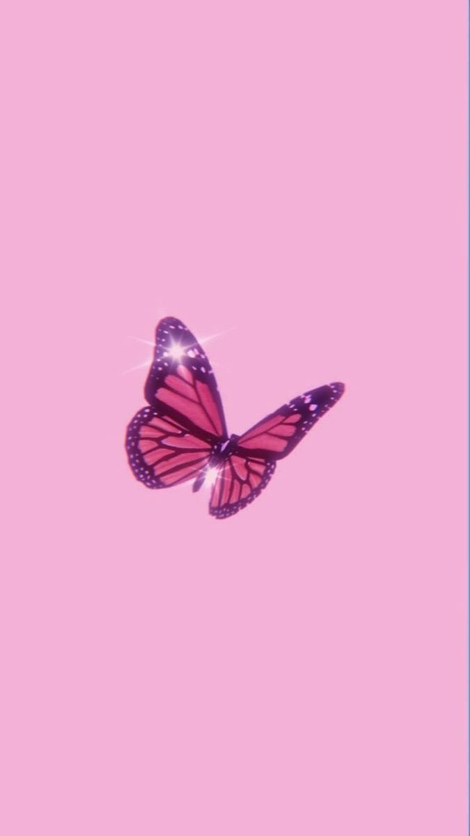Aesthetic Girly 桌布 壁紙 — 一隻閃閃發光的粉紅色和紫色蝴蝶，翅膀上有亮片，漂浮在純色粉彩粉紅色背景上。