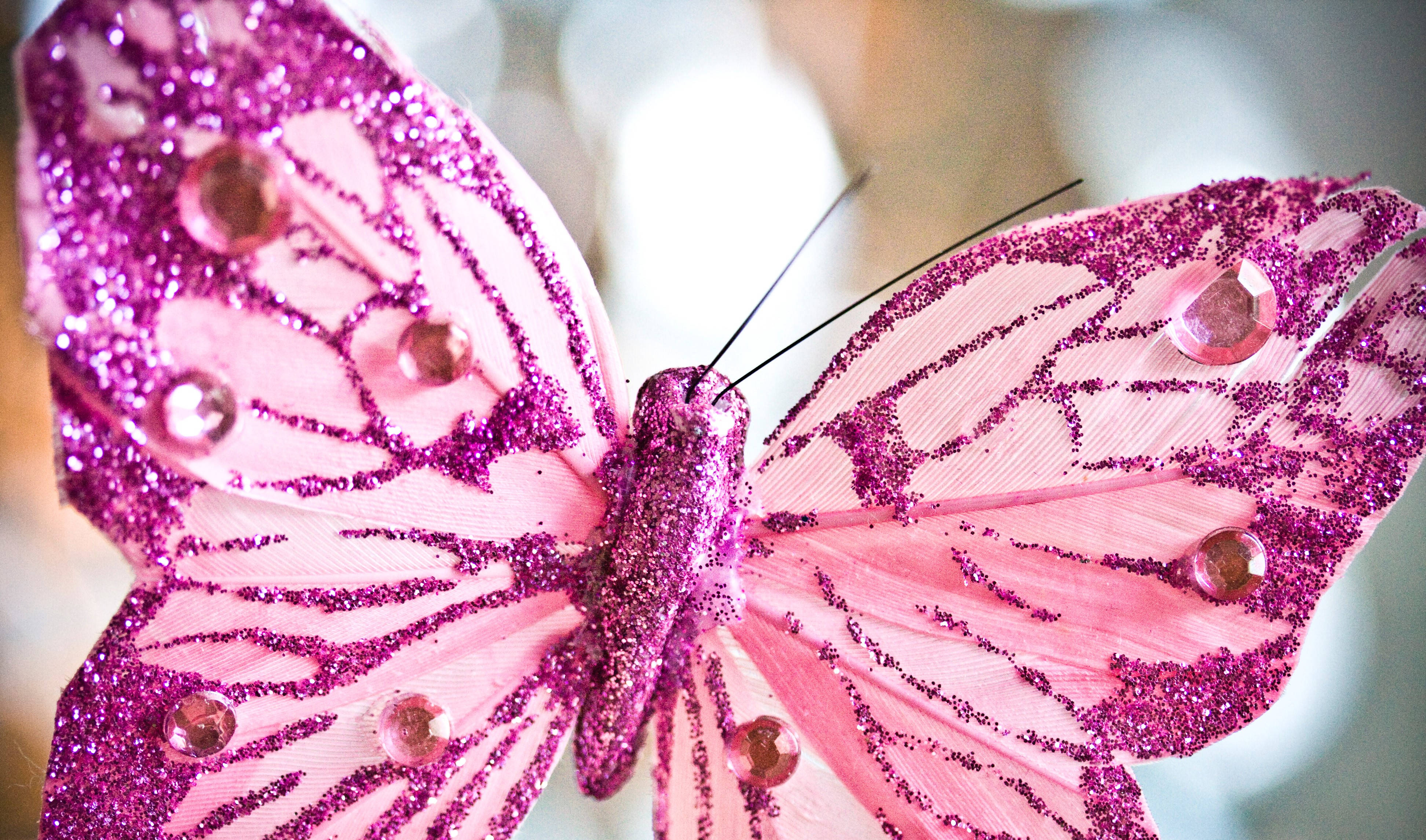 Beautiful Butterfly 桌布 壁紙 — 一隻閃閃發光的粉紅色蝴蝶的特寫，飾有閃亮的水鑽和精緻的翅膀脈絡。