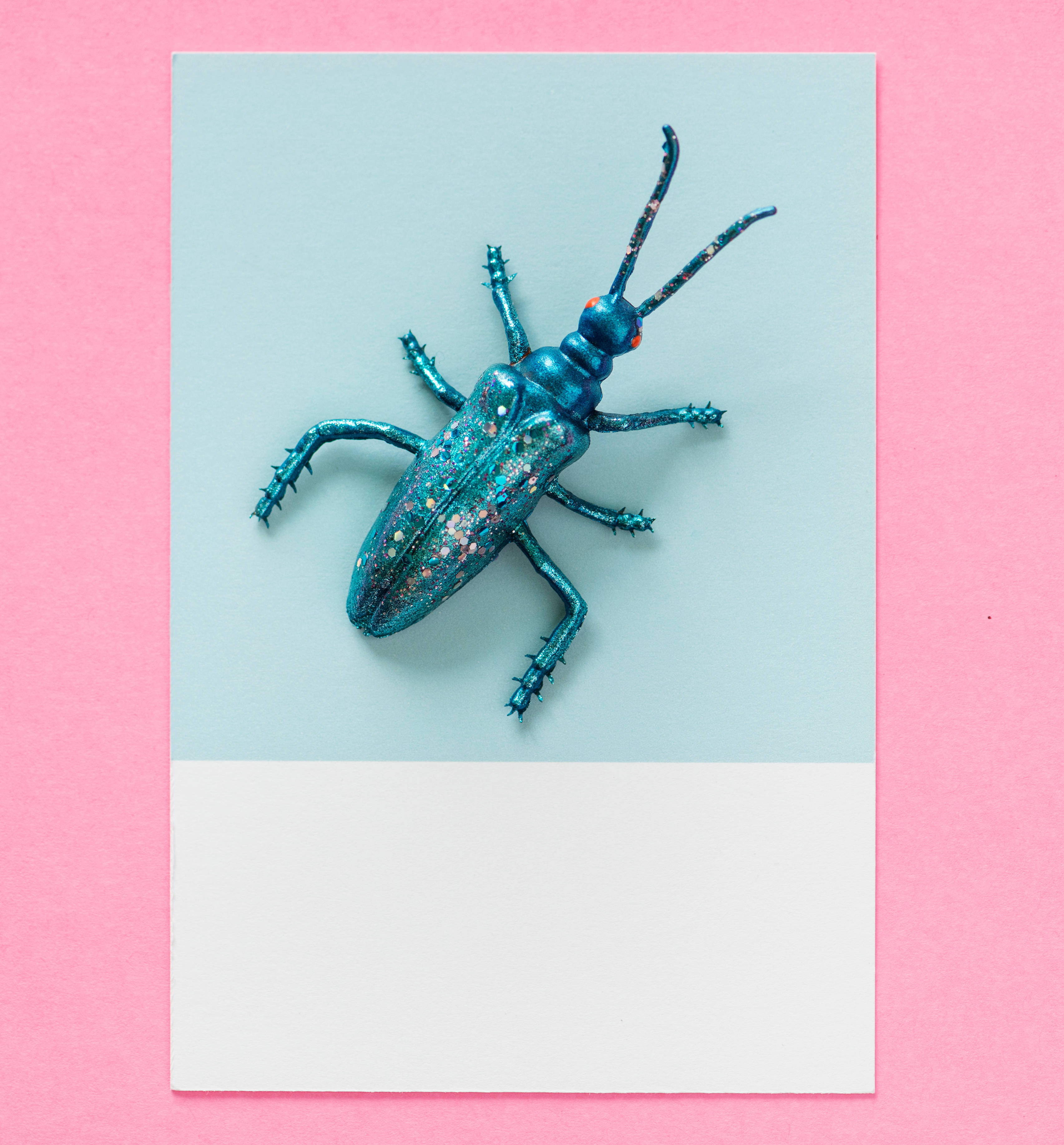 Beetle 桌布 壁紙 — 一隻閃閃發光的藍色甲蟲，長著紅色眼睛，躺在淺藍色卡片上，背景是粉紅色。