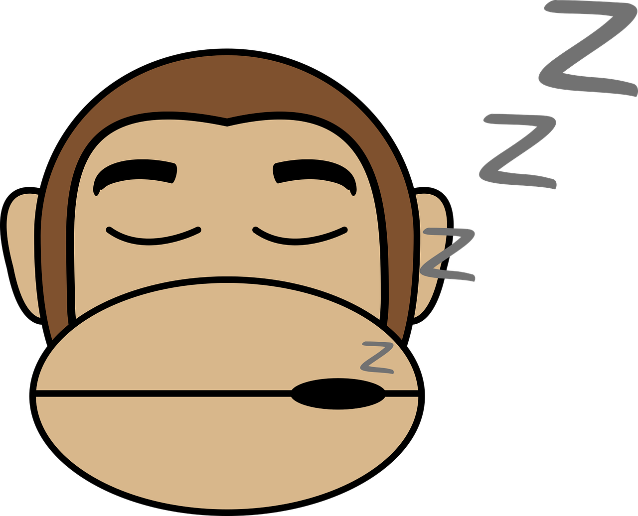 Sleep 桌布 壁紙 — 一隻閉著眼睛的卡通猴子，頭旁漂浮著zzz符號，表示牠正在安詳地睡覺。