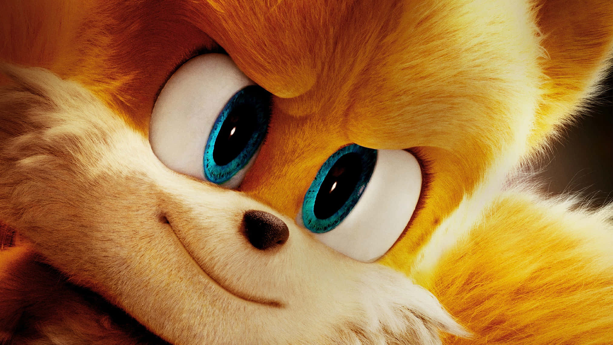 Tails 桌布 壁紙 — 一隻開心橙色狐狸的特寫，擁有明亮的藍色眼睛和溫柔的微笑。