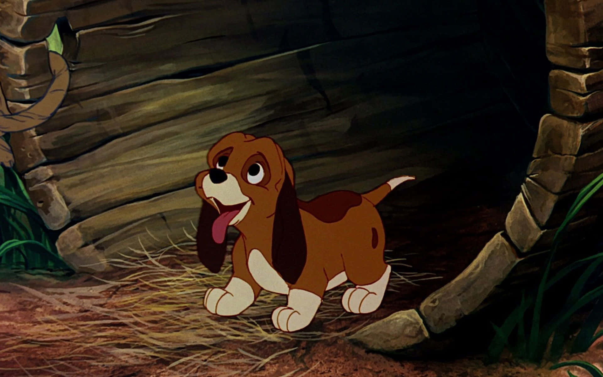 the fox and the hound 桌布 壁紙 — 一隻開心的動畫巴吉度獵犬幼犬，有著垂耳和粉紅色舌頭，站在一個鋪滿稻草的質樸石洞中。