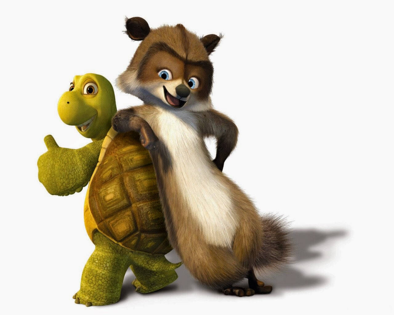 Over The Hedge 桌布 壁紙 — 一隻開心的動畫浣熊和烏龜在純白色背景前一起豎起大拇指擺姿勢。