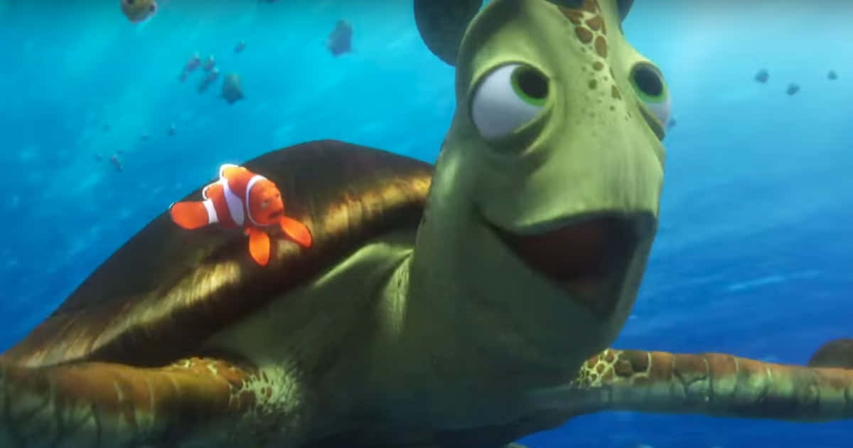Cartoon Turtle 桌布 壁紙 — 一隻開心的動畫海龜，背上有小丑魚，在陽光照射的藍色海水中游泳。