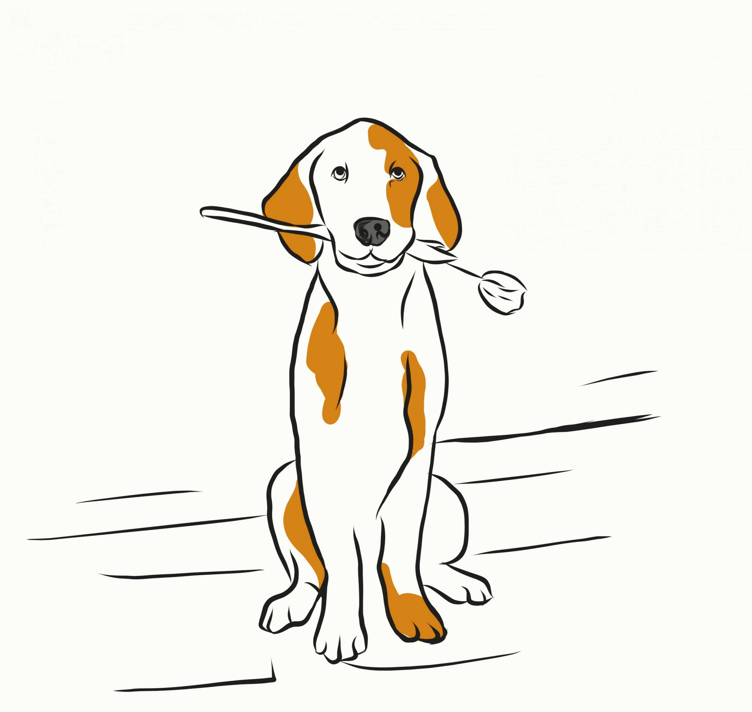卡通狗 桌布 壁紙 — 一隻開心的卡通比格犬，有橙色和白色的毛，坐著咬著一朵鬱金香，背景是純色。