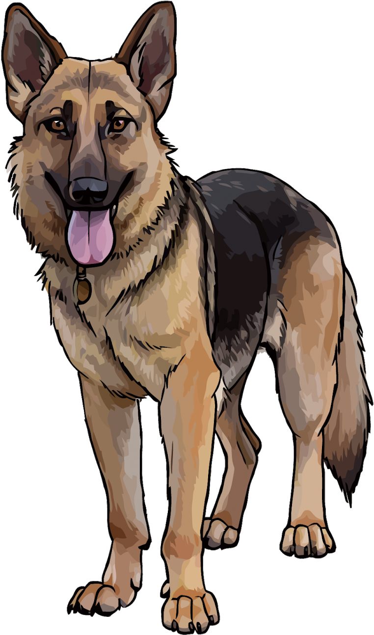 德國狼犬 桌布 壁紙 — 一隻開心的德國牧羊犬警覺地站著，舌頭伸出，背景是純黑色。